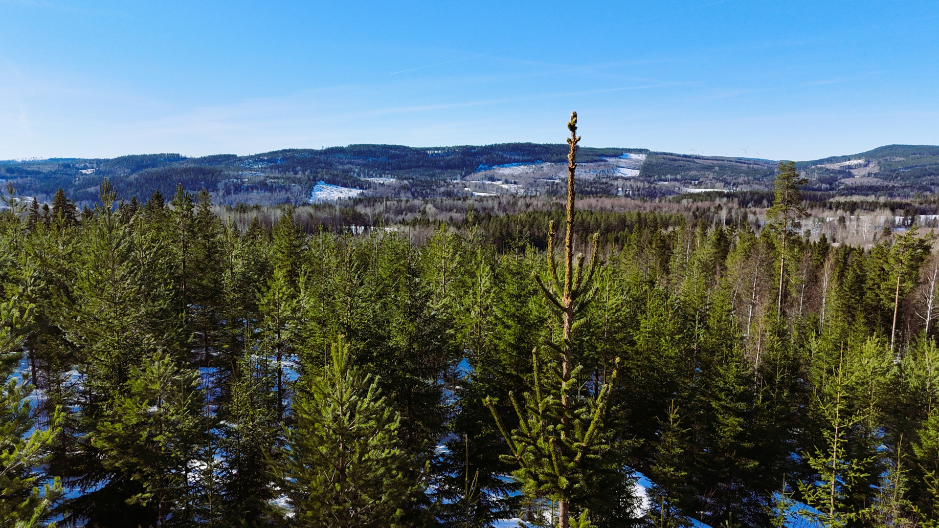 Farm / Forestry in Sweden for sale