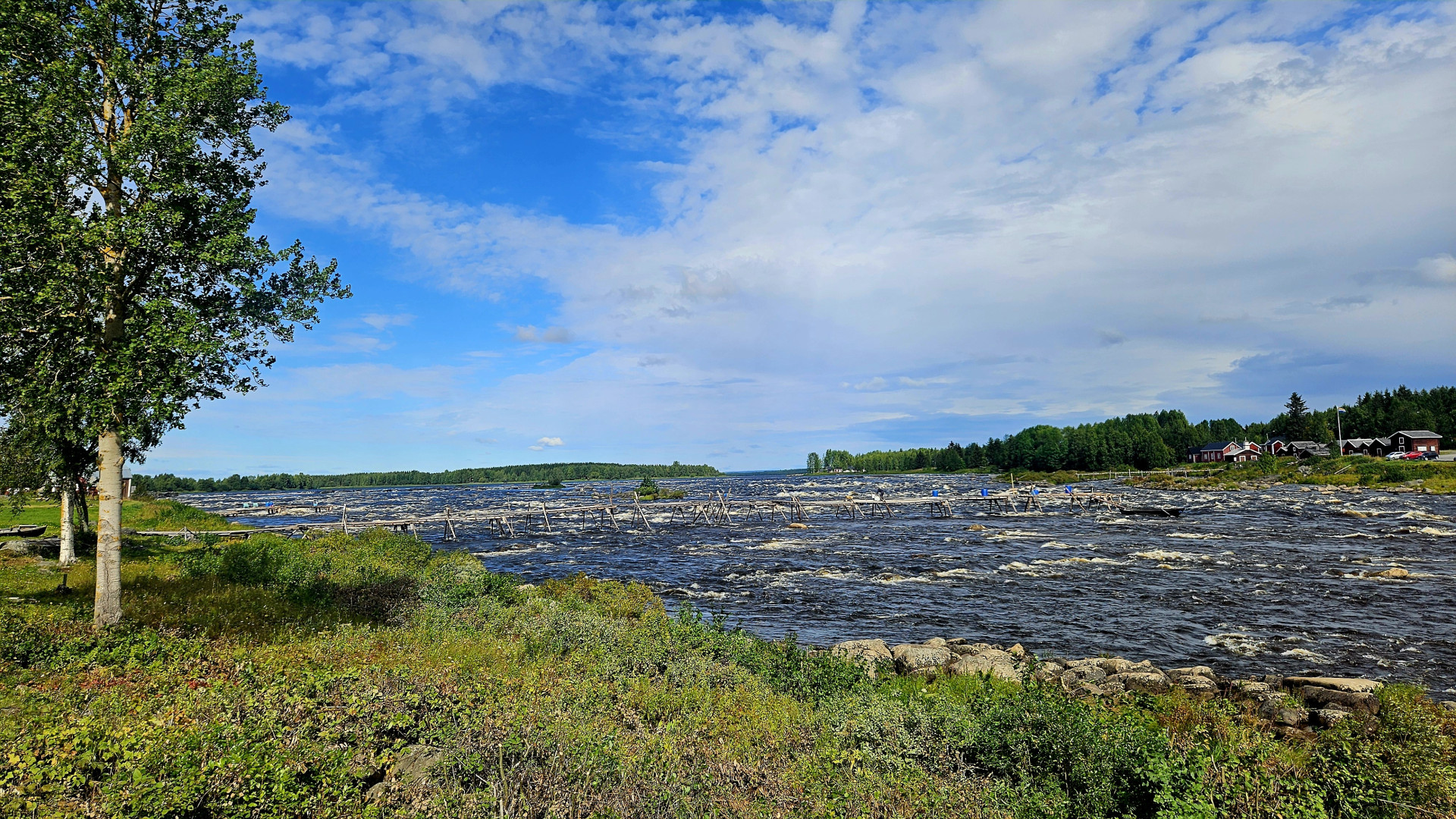 Farm / Forestry in Sweden for sale