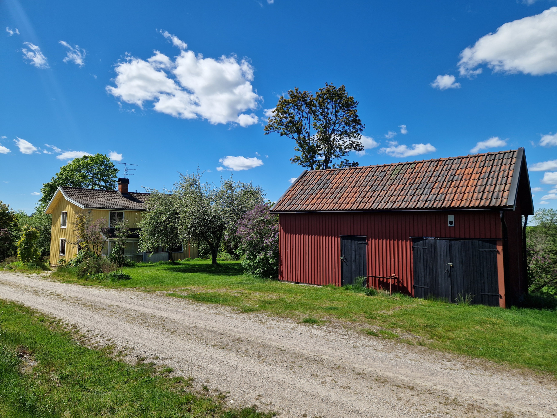 Farm / Forestry in Sweden for sale