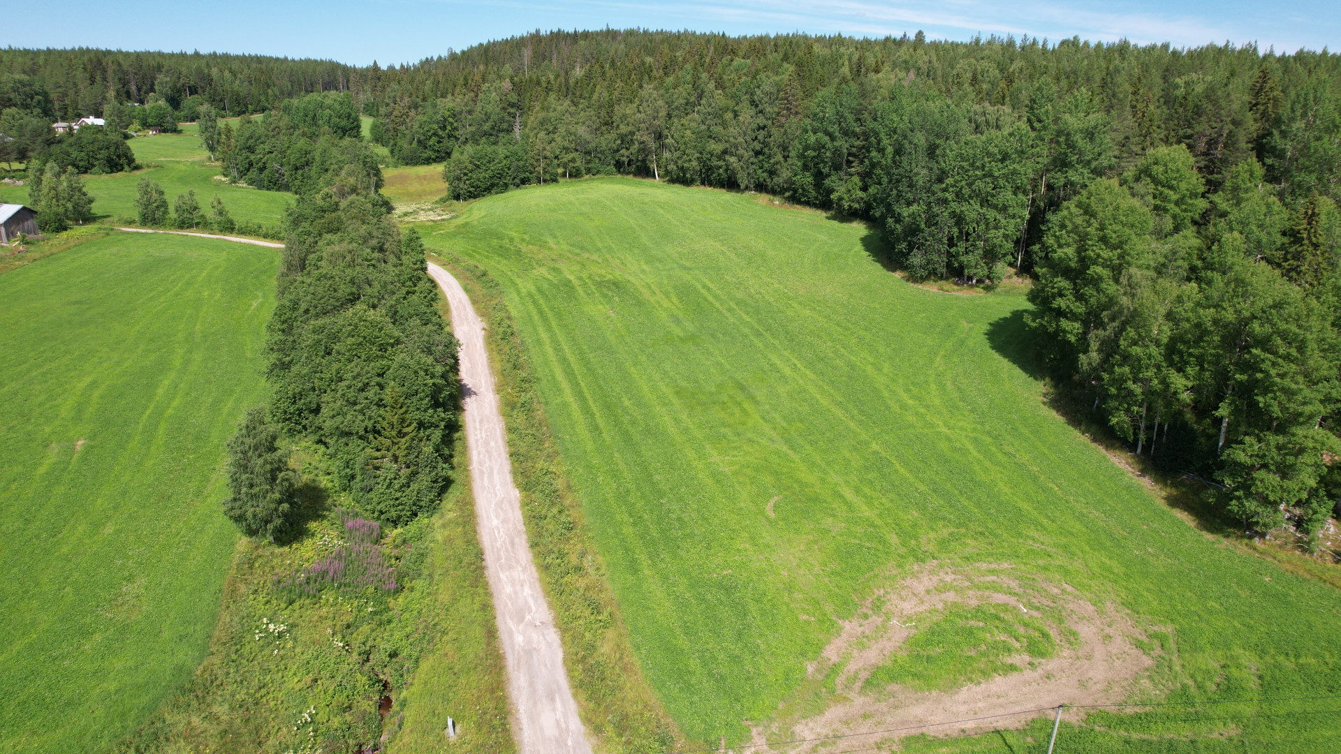 Farm / Forestry in Sweden for sale