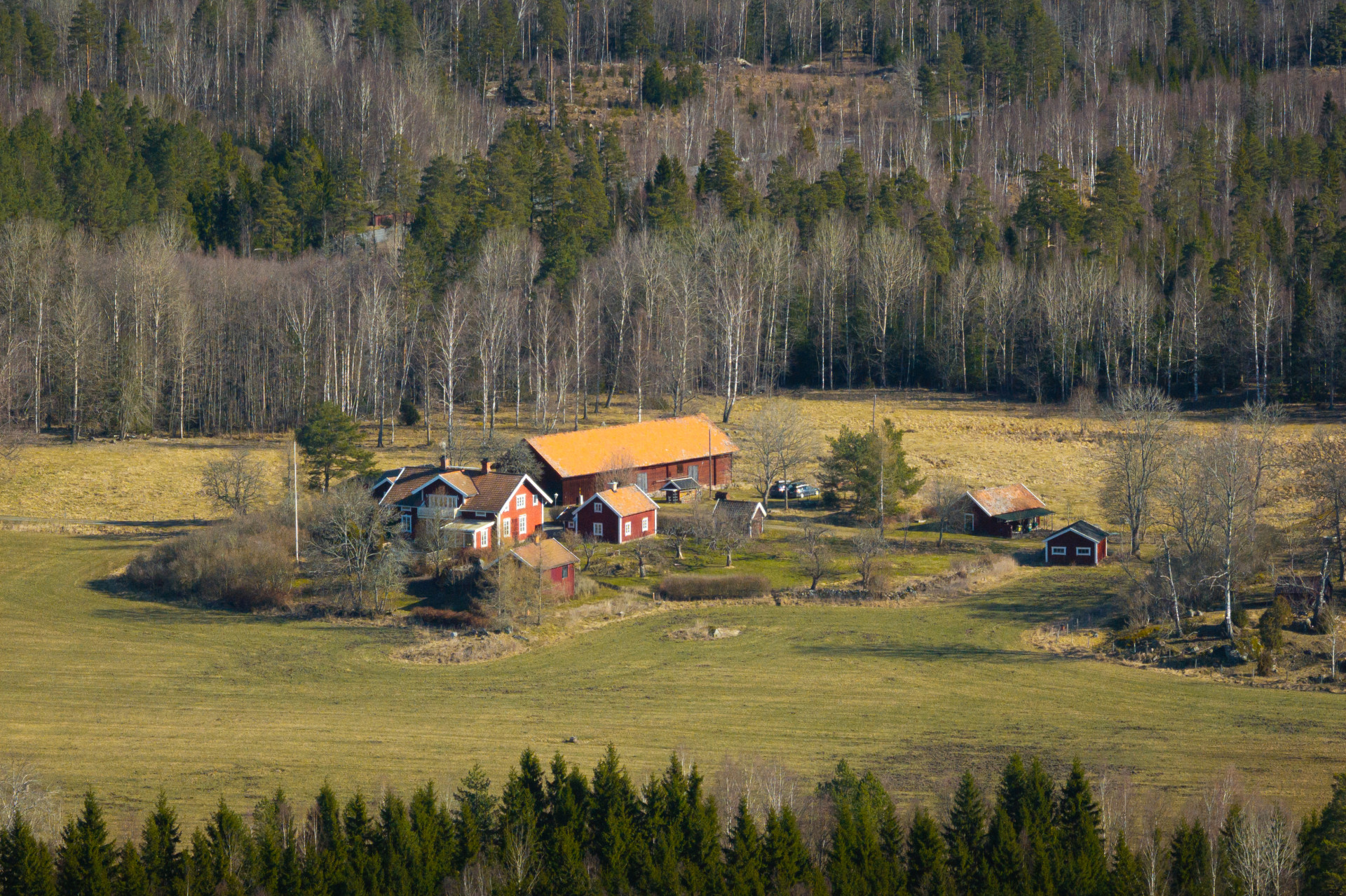 Farm / Forestry in Sweden for sale