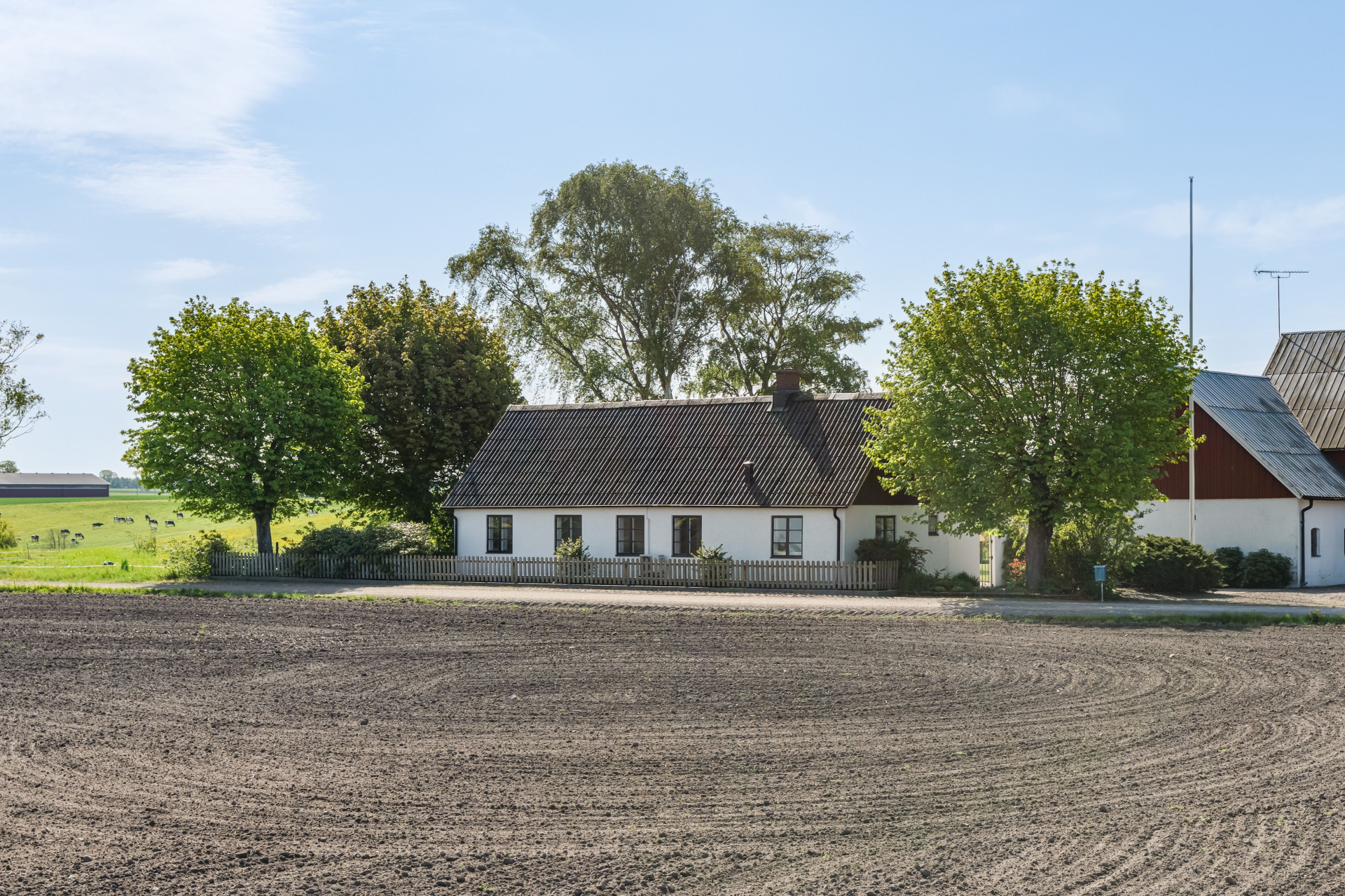 Farm / Forestry in Sweden for sale