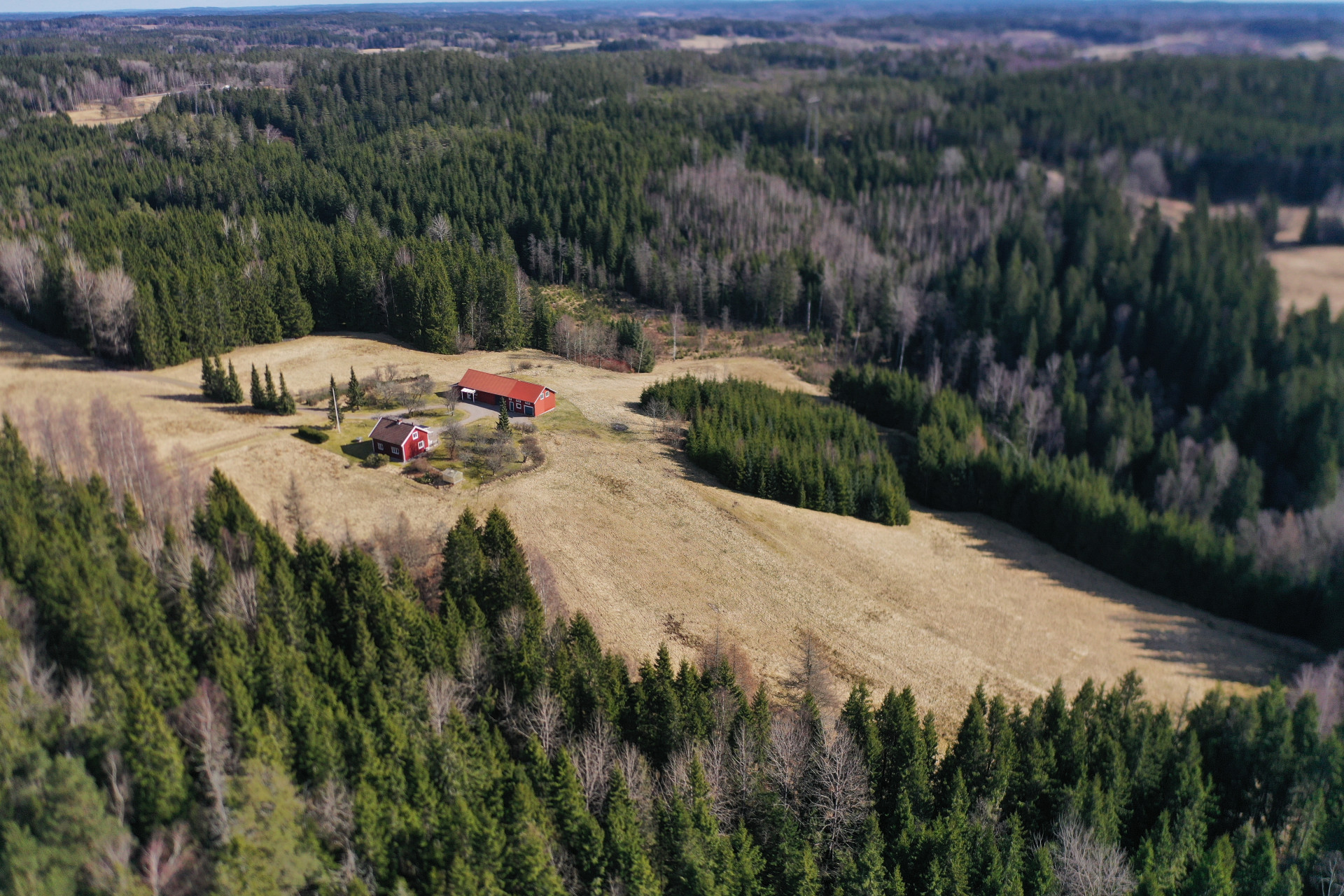 Farm / Forestry in Sweden for sale