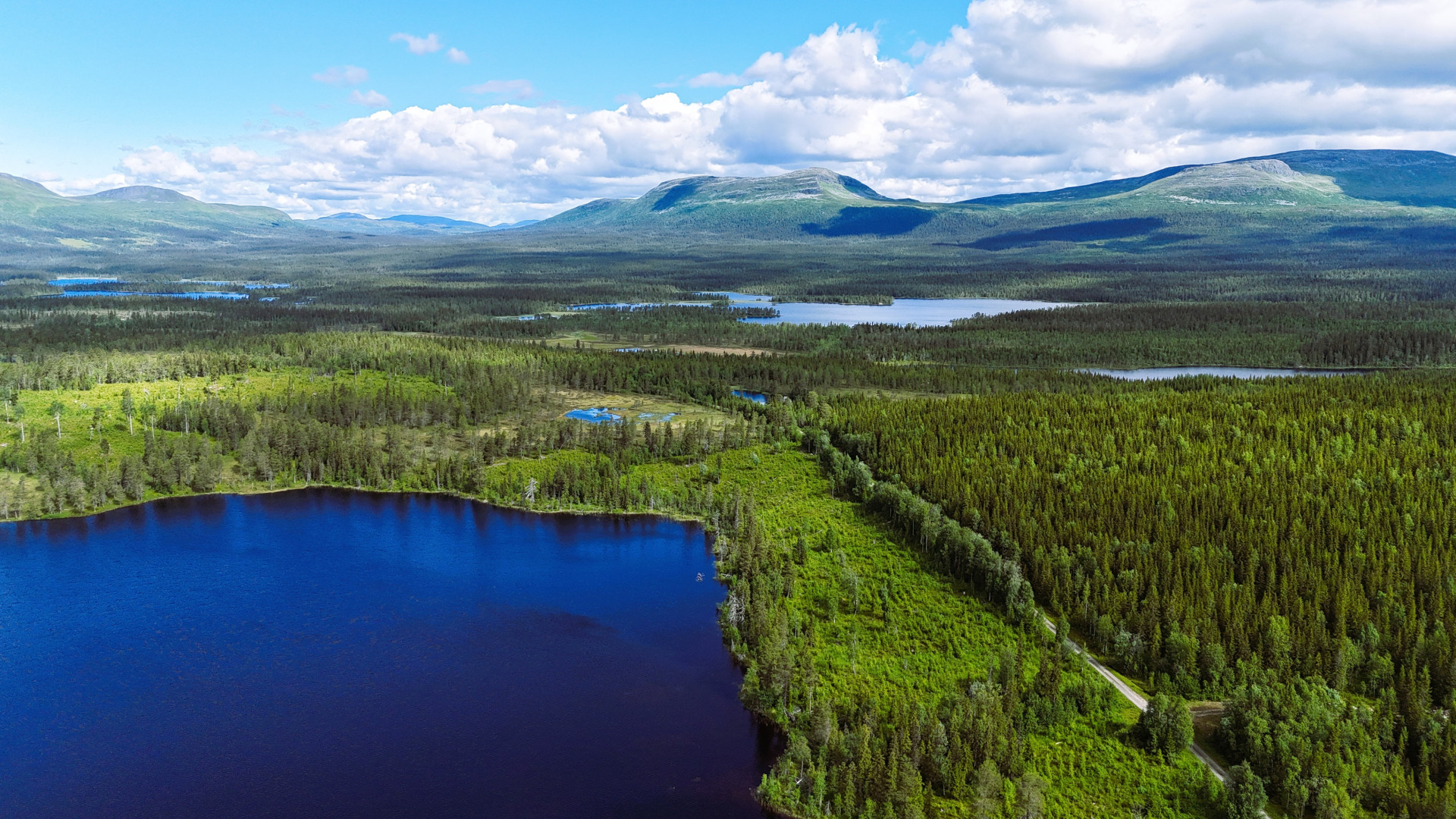 Farm / Forestry in Sweden for sale