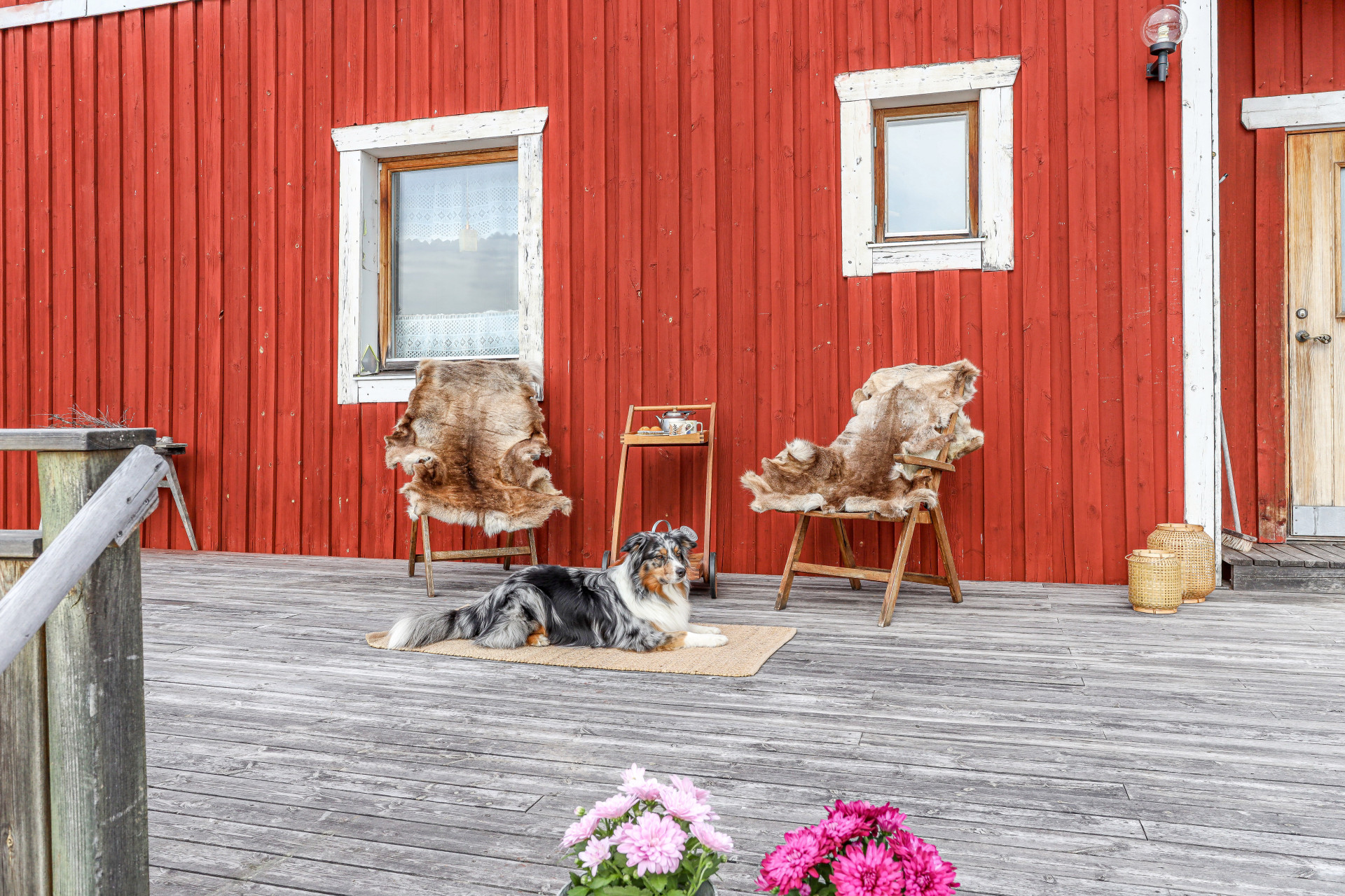 Farm / Forestry in Sweden for sale
