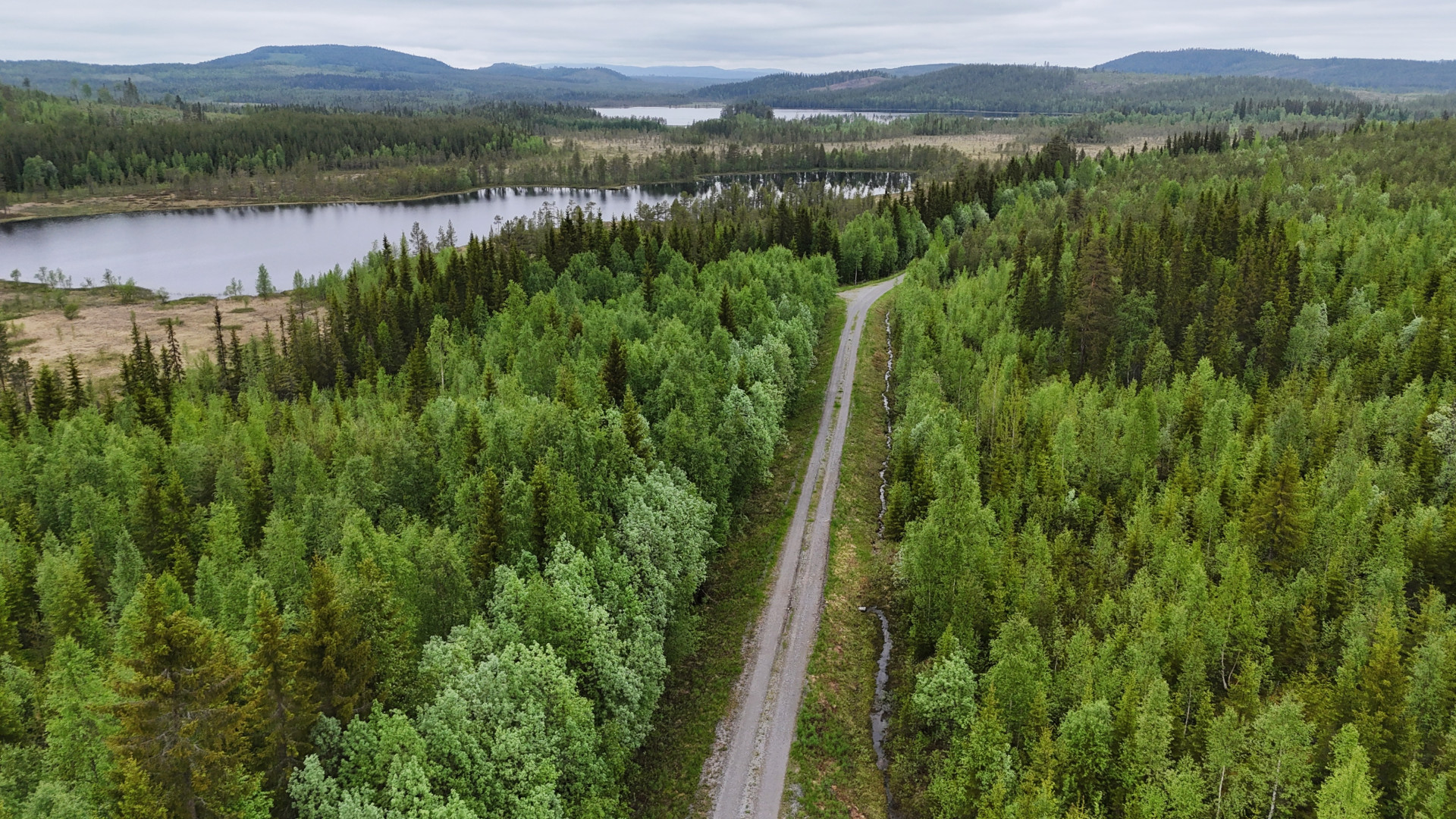 Farm / Forestry in Sweden for sale