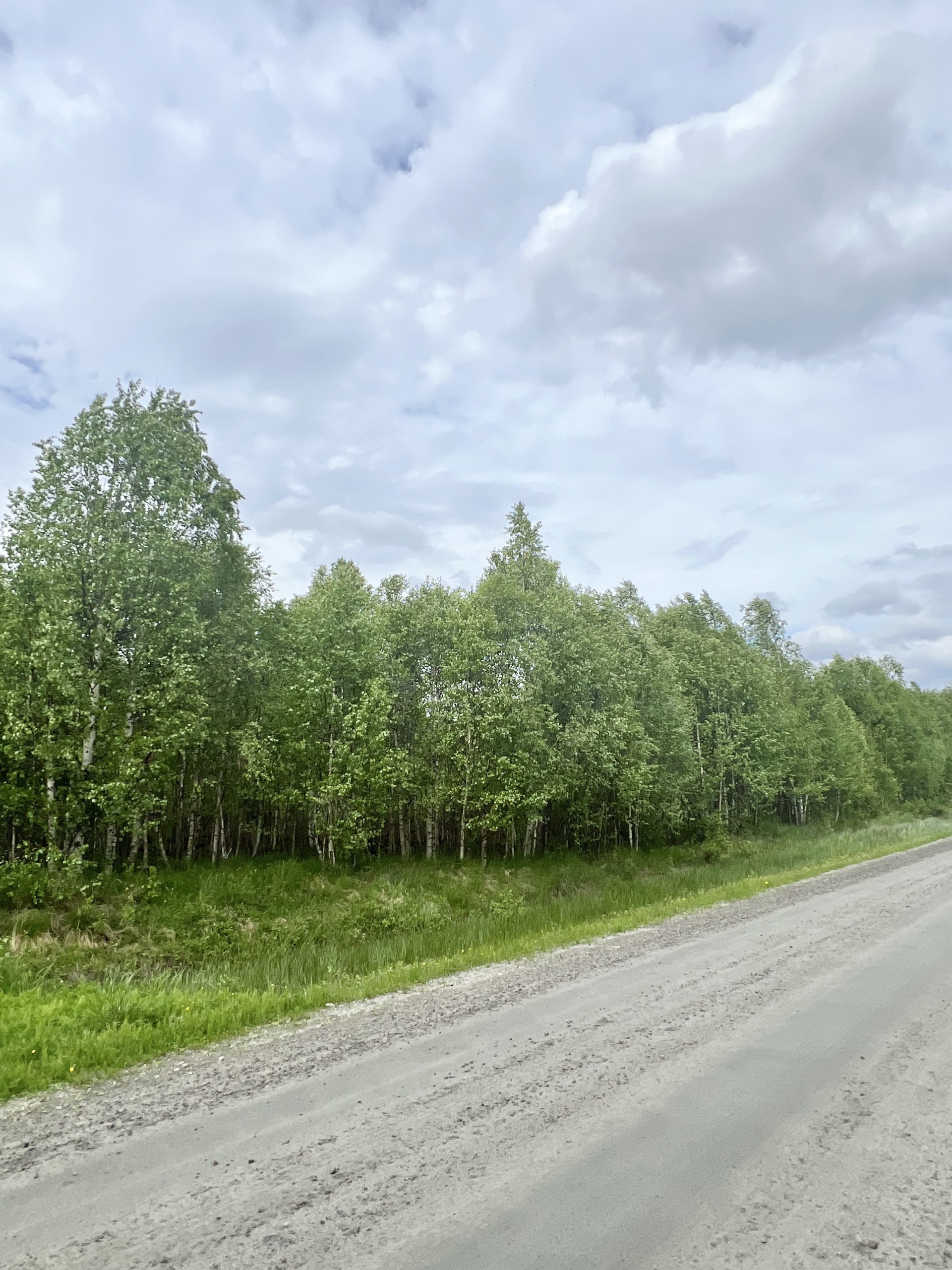 Farm / Forestry in Sweden for sale
