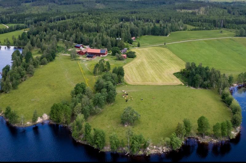 Farm / Forestry in Sweden for sale