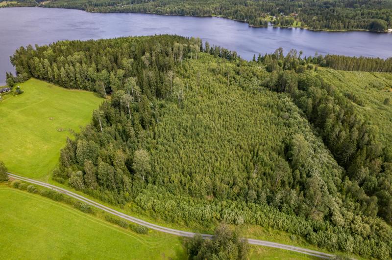 Land in Sweden for sale