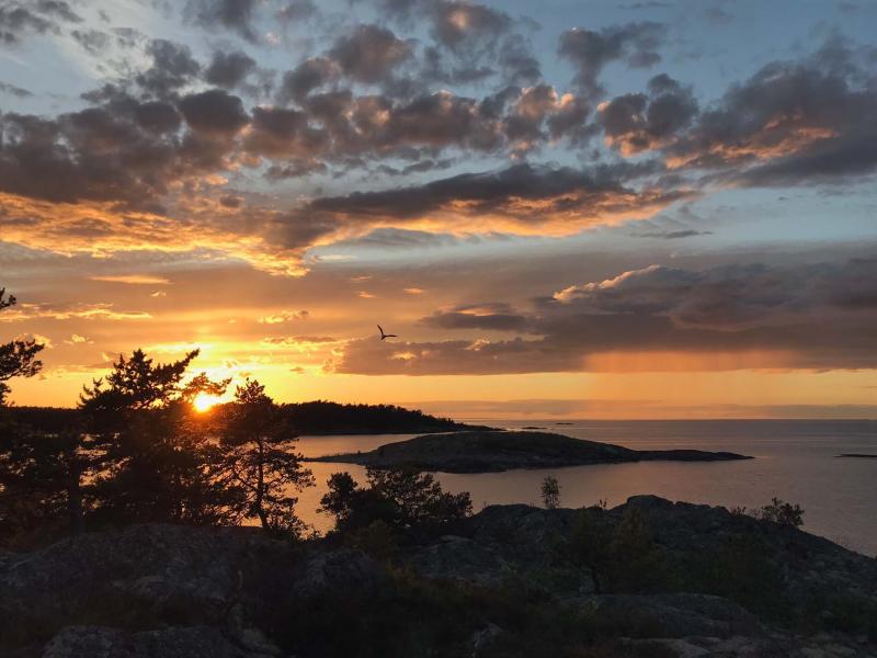 Cottage in Sweden for sale