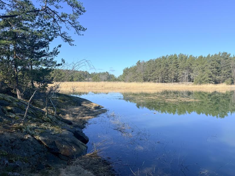 Land in Sweden for sale