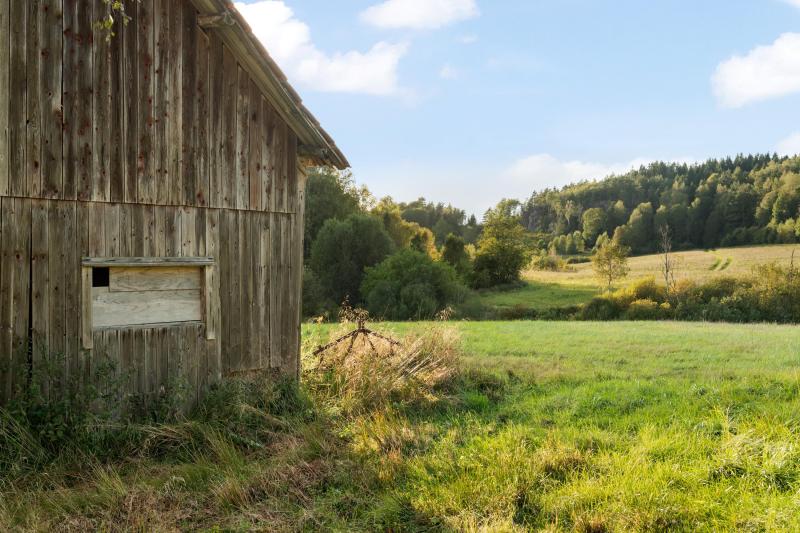 Farm / Forestry in Sweden for sale