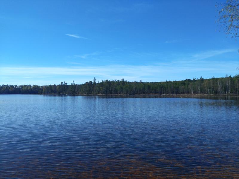 Farm / Forestry in Sweden for sale