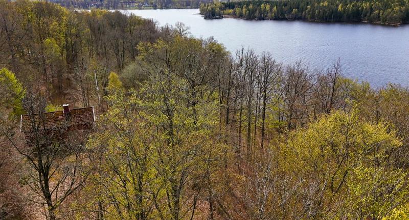 Farm / Forestry in Sweden for sale