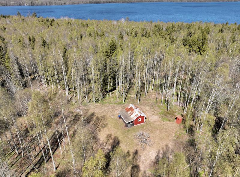 Farm / Forestry in Sweden for sale