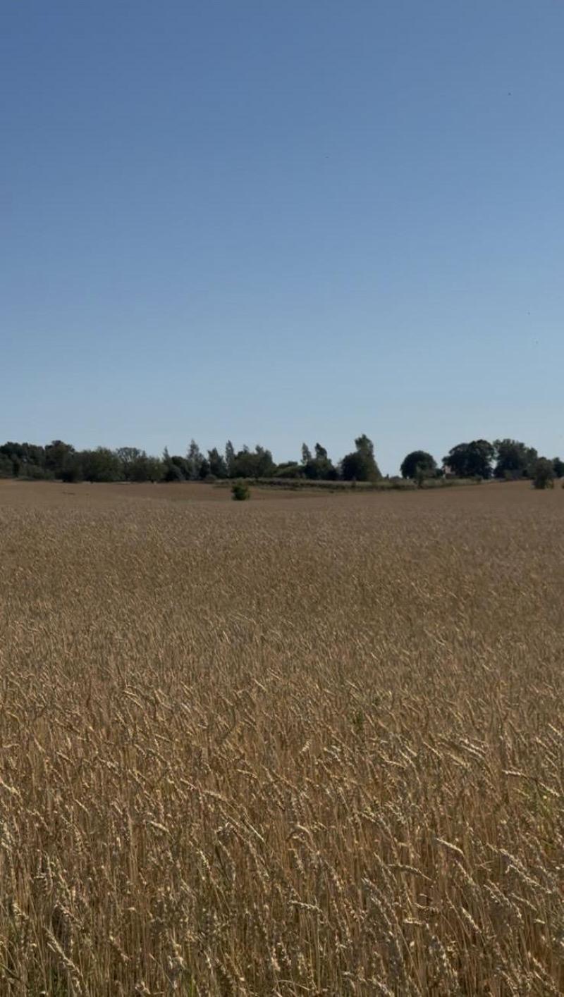 Farm / Forestry in Sweden for sale