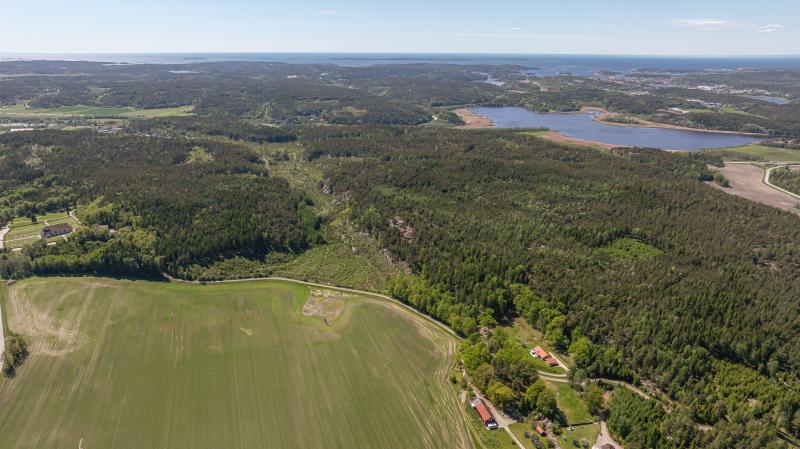 Land in Sweden for sale
