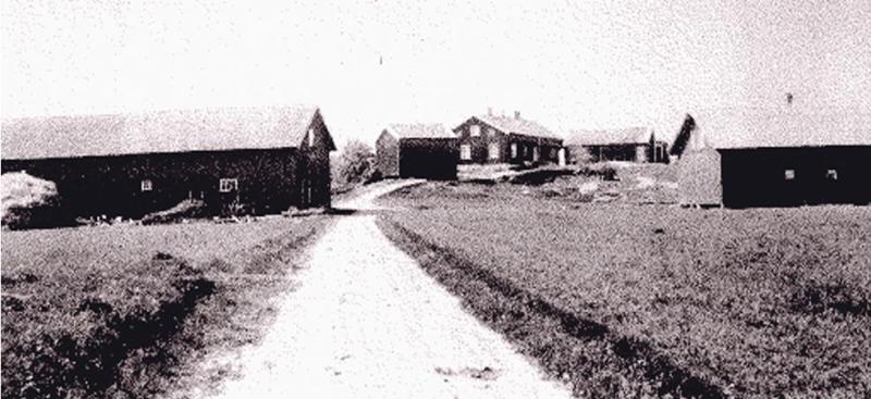 Farm / Forestry in Sweden for sale