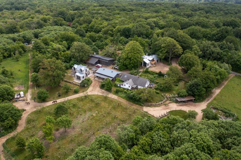 Farm / Forestry in Sweden for sale