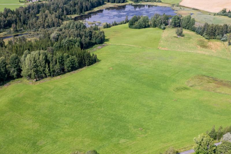 Farm / Forestry in Sweden for sale