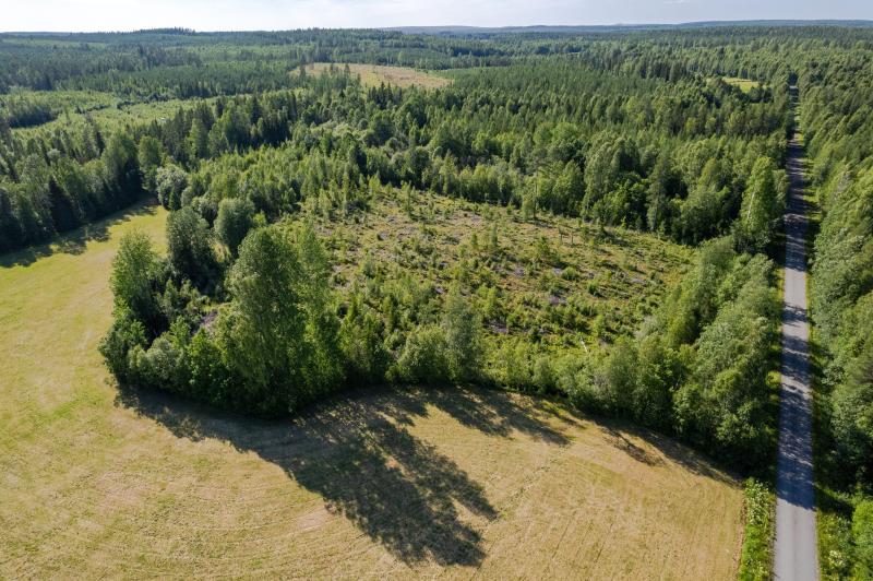 Land in Sweden for sale