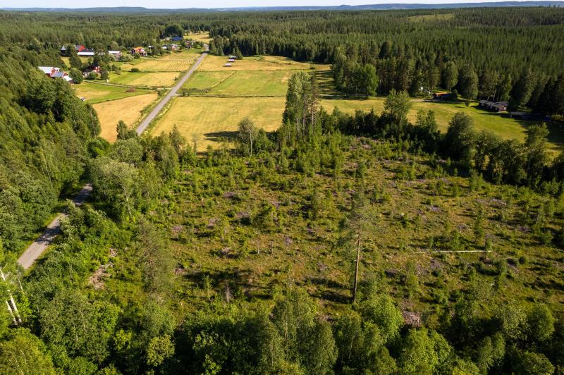Land in Sweden for sale