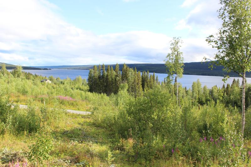 Land in Sweden for sale