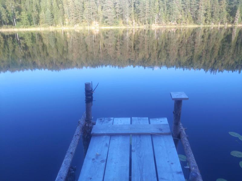 Farm / Forestry in Sweden for sale
