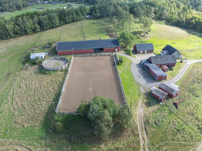 Farm / Forestry in Sweden for sale
