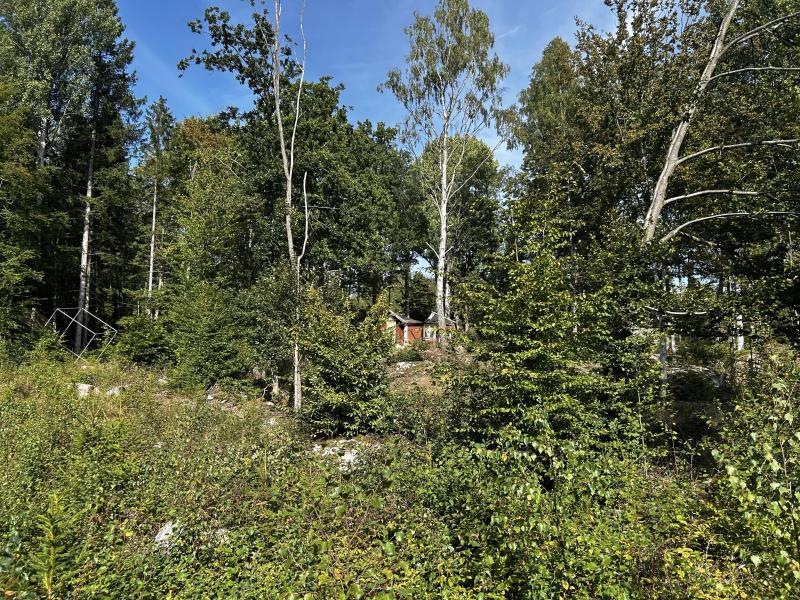 Land in Sweden for sale