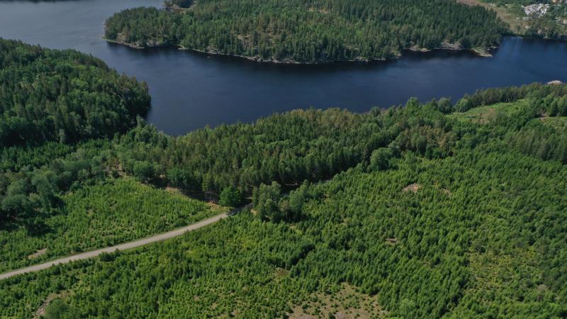 Farm / Forestry in Sweden for sale