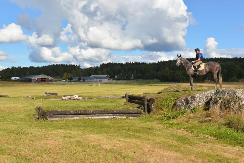 Farm / Forestry in Sweden for sale