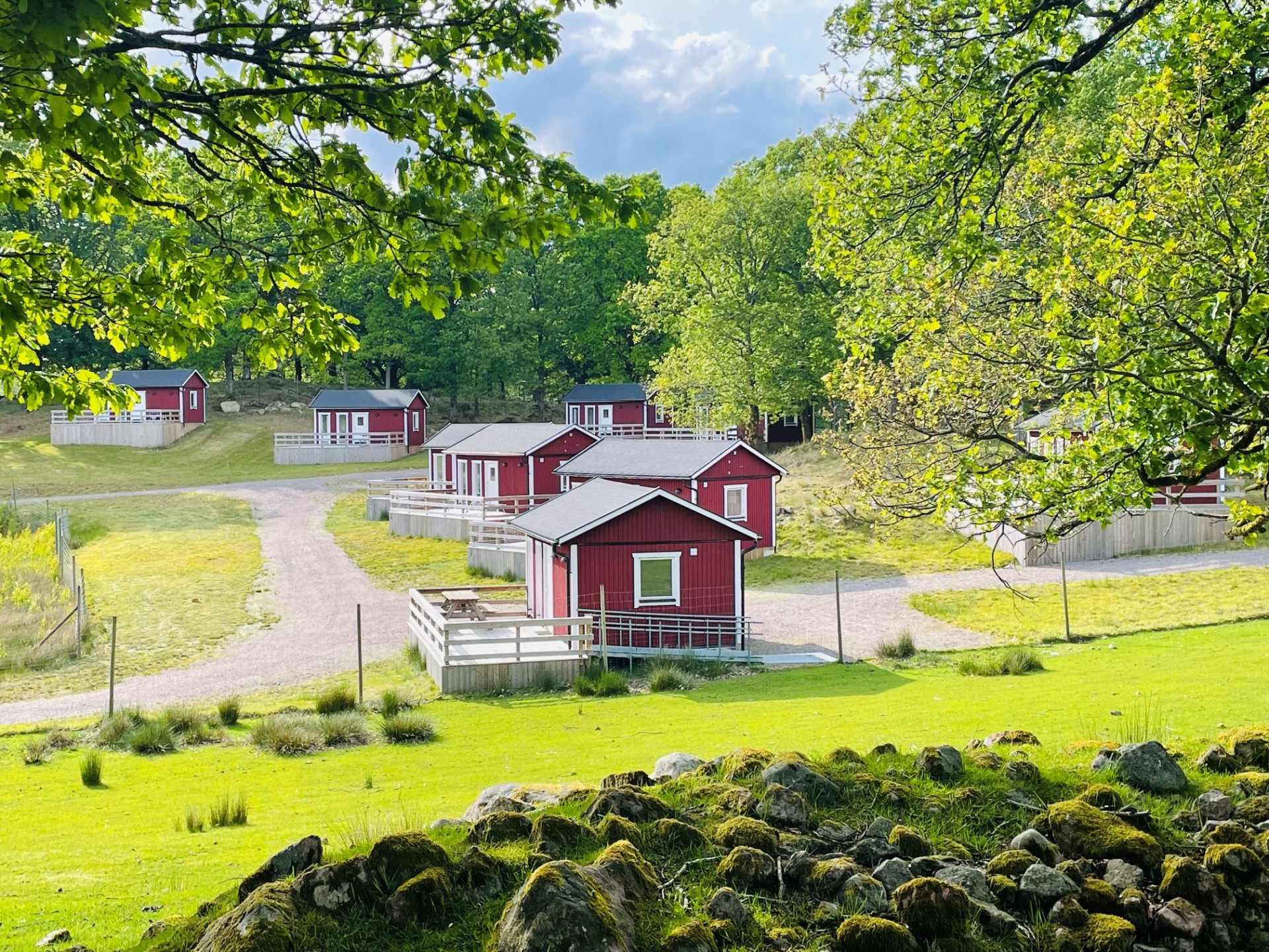 Farm / Forestry in Sweden for sale
