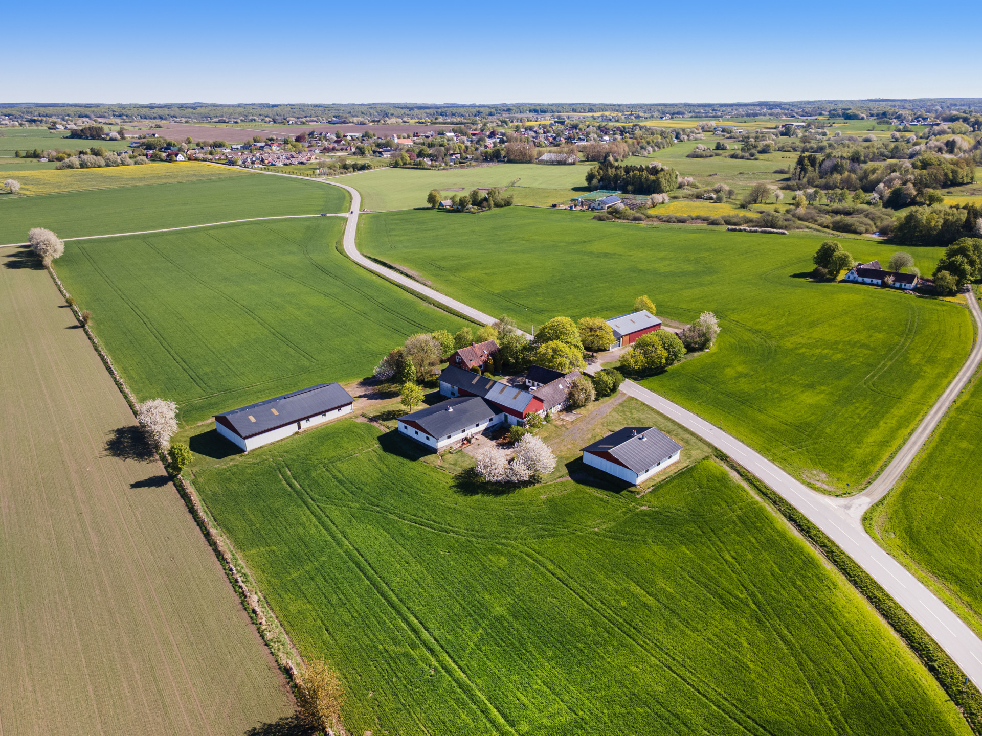 Farm / Forestry in Sweden for sale