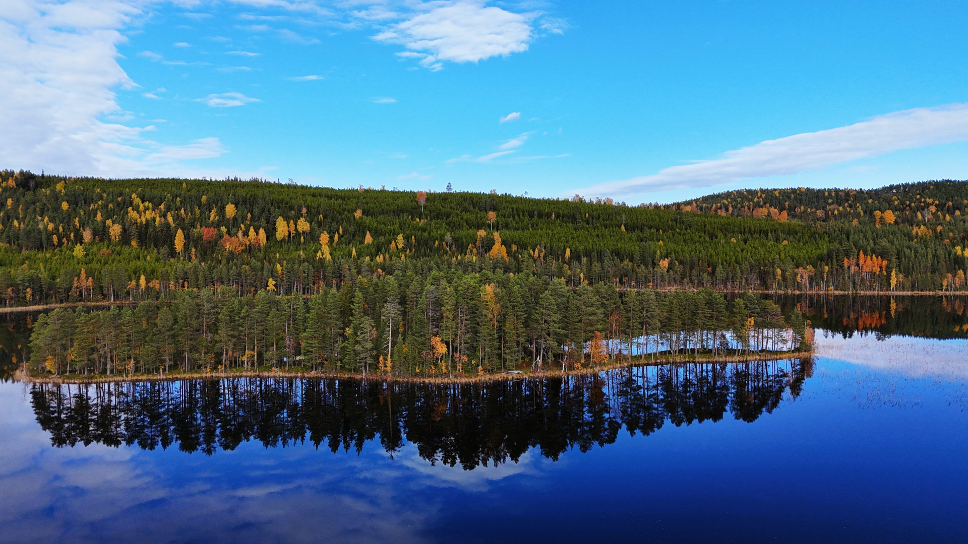 Farm / Forestry in Sweden for sale