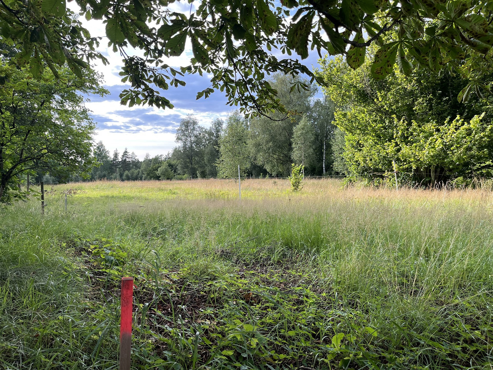 Land in Sweden for sale
