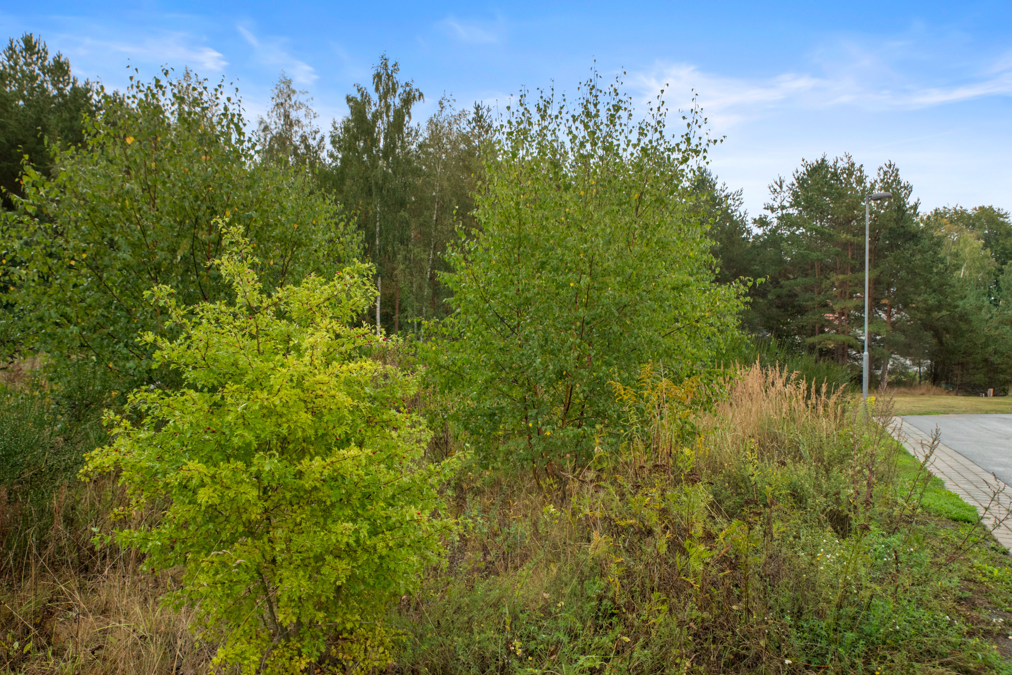 Sweden estate
