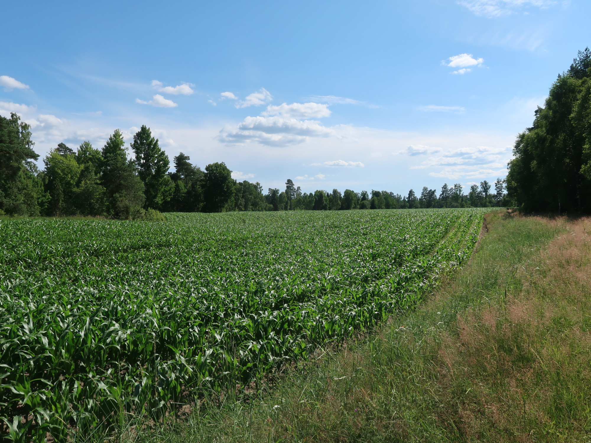 Sweden estate