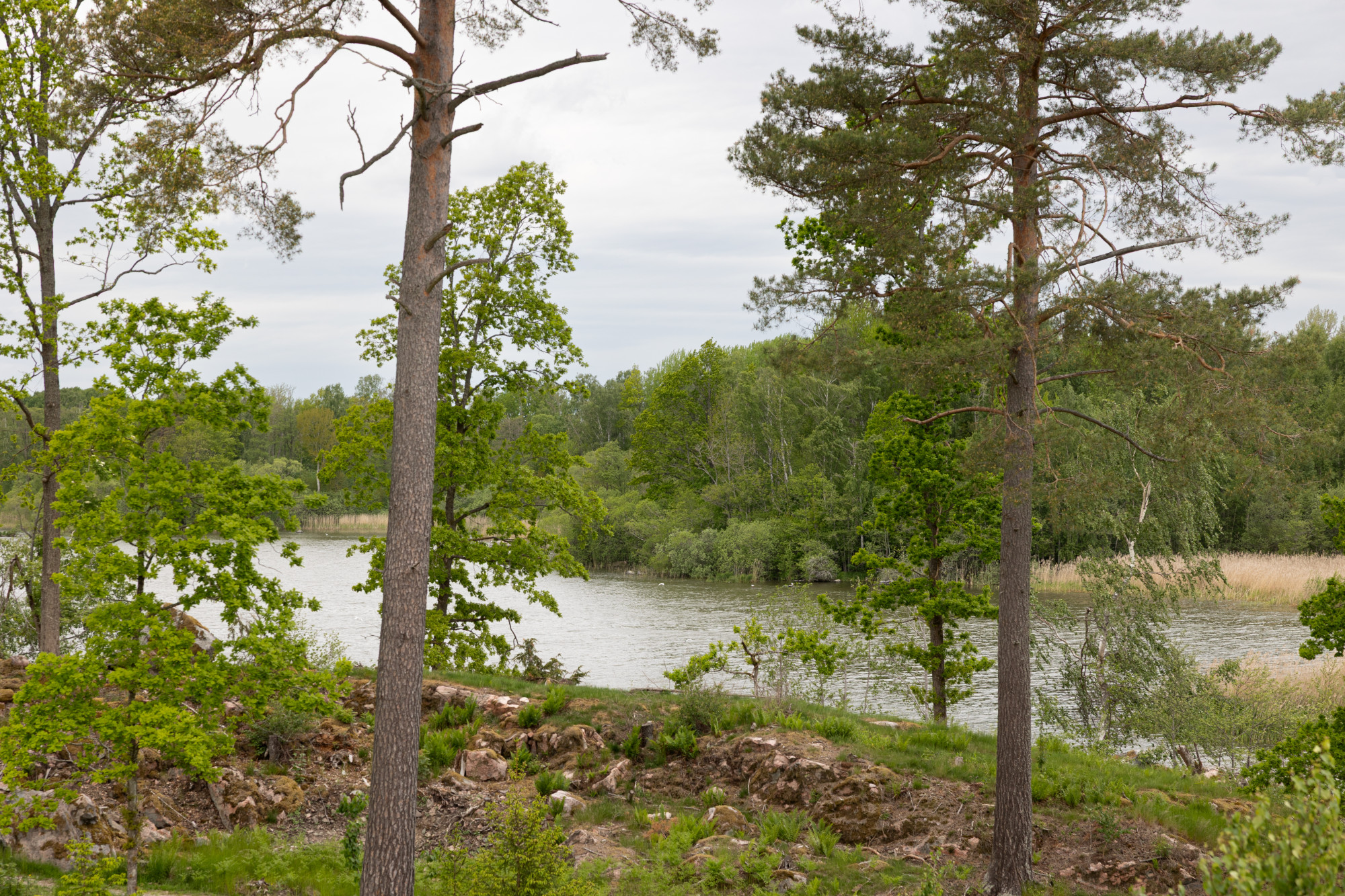 Sweden estate