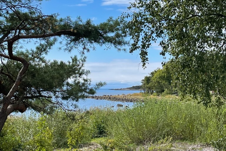 Sweden estate