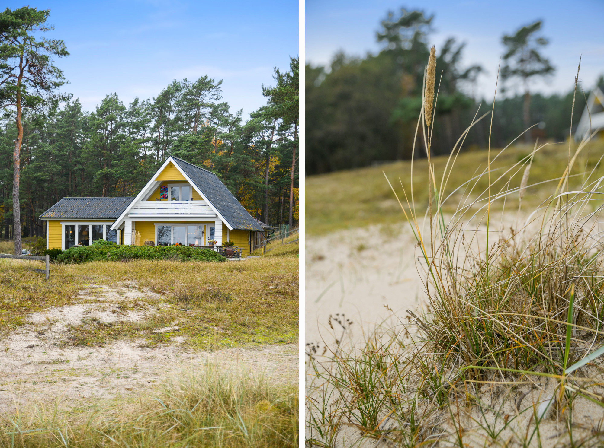 Sweden estate