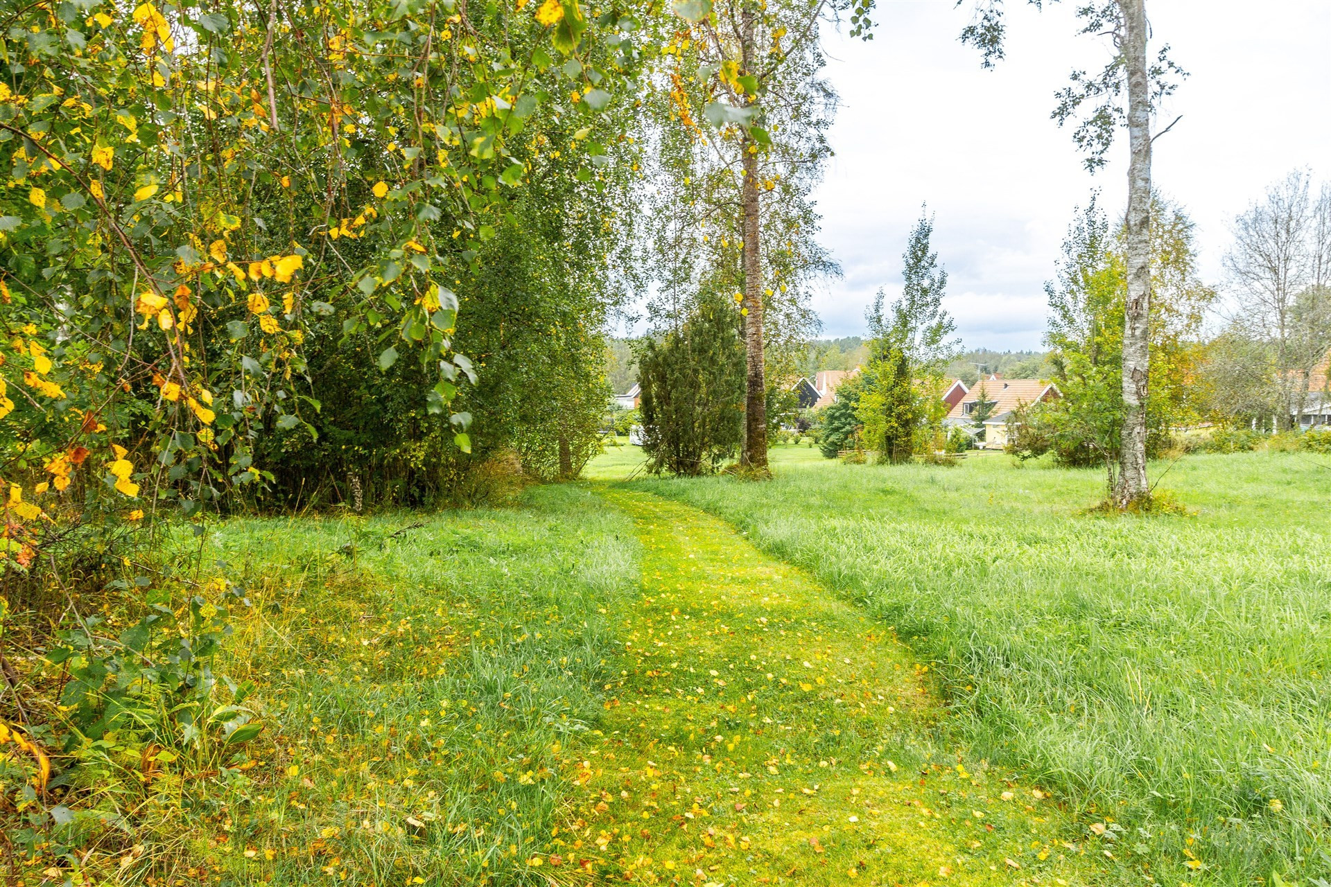 Sweden estate