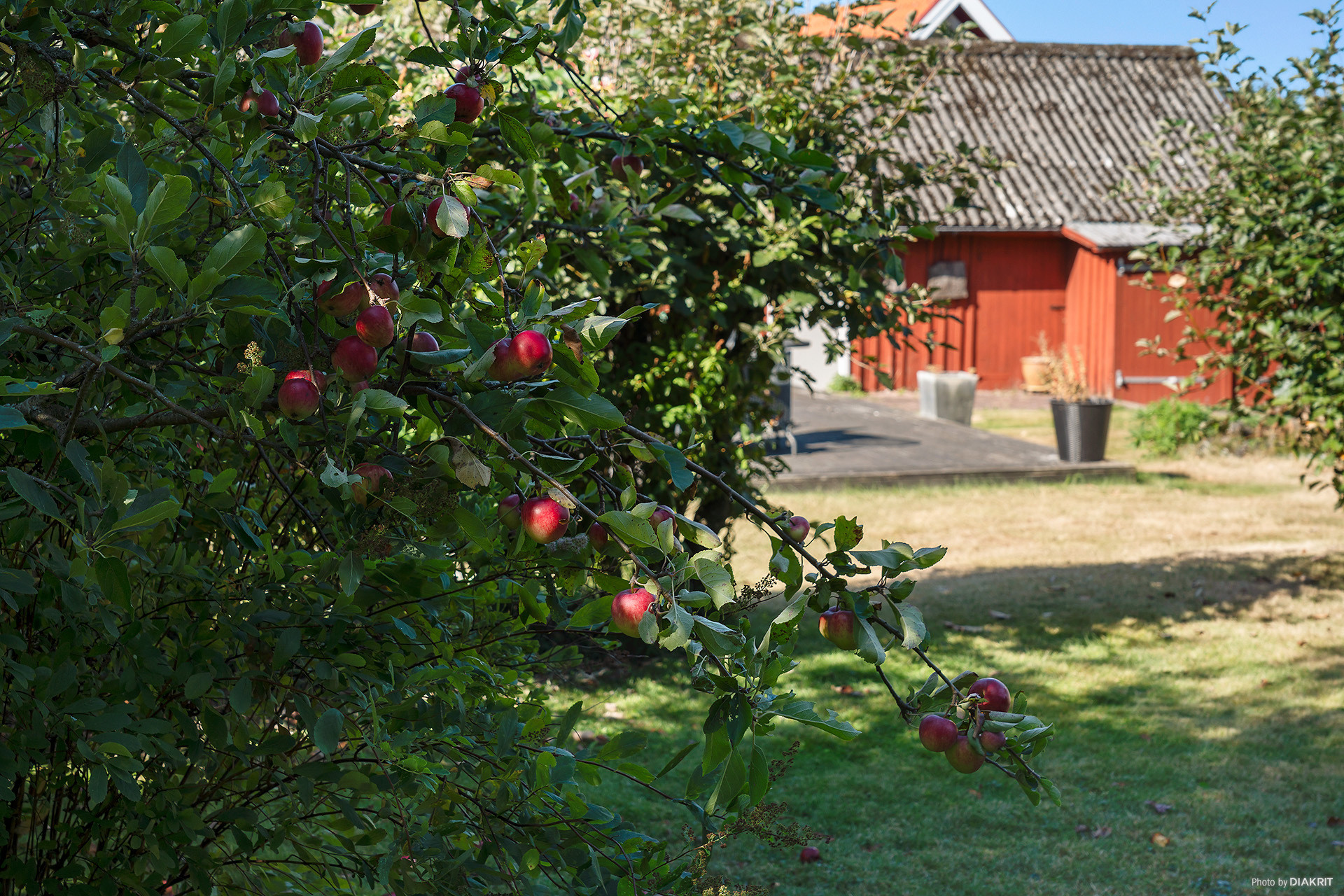 Sweden estate