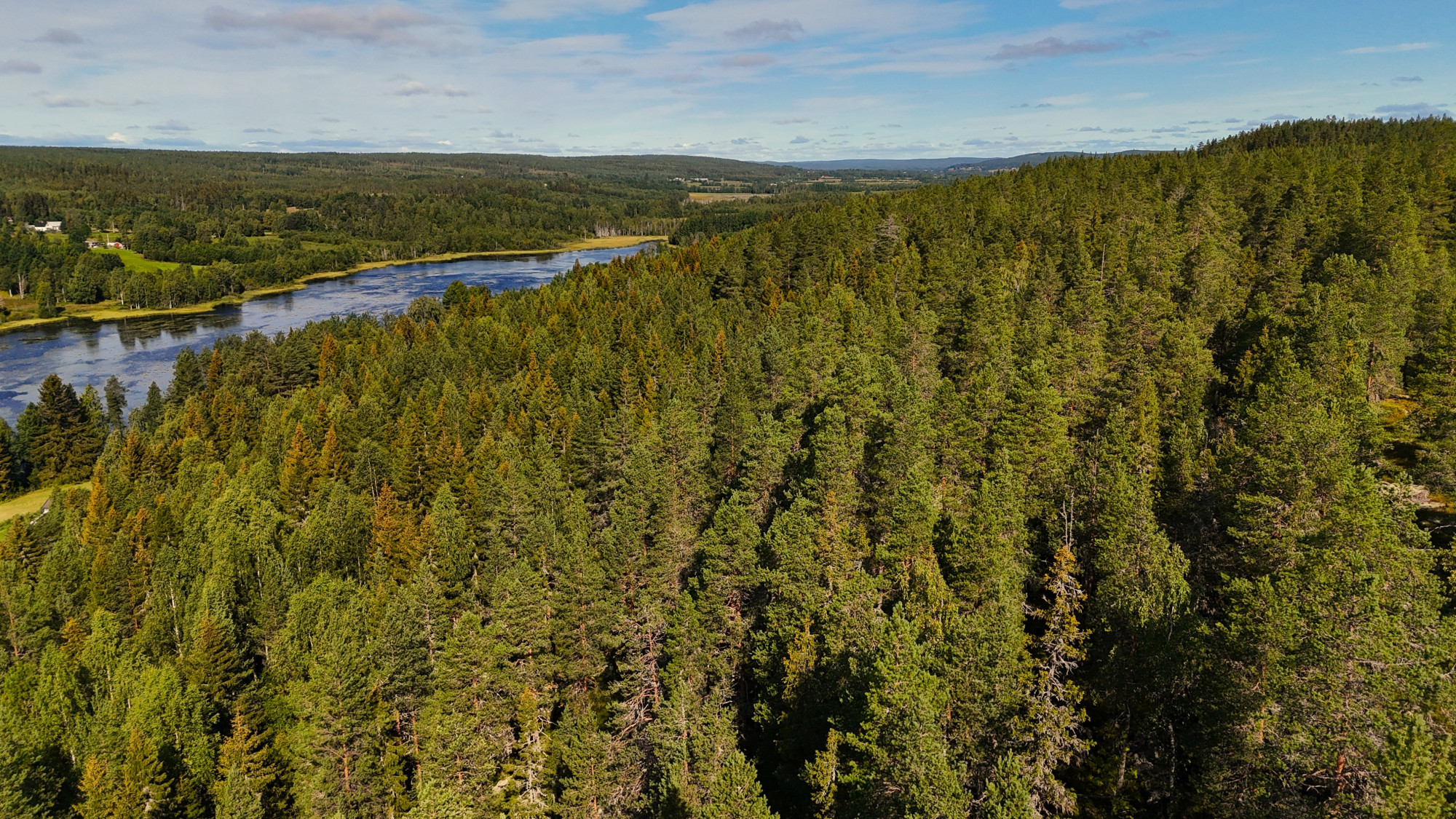 Sweden estate