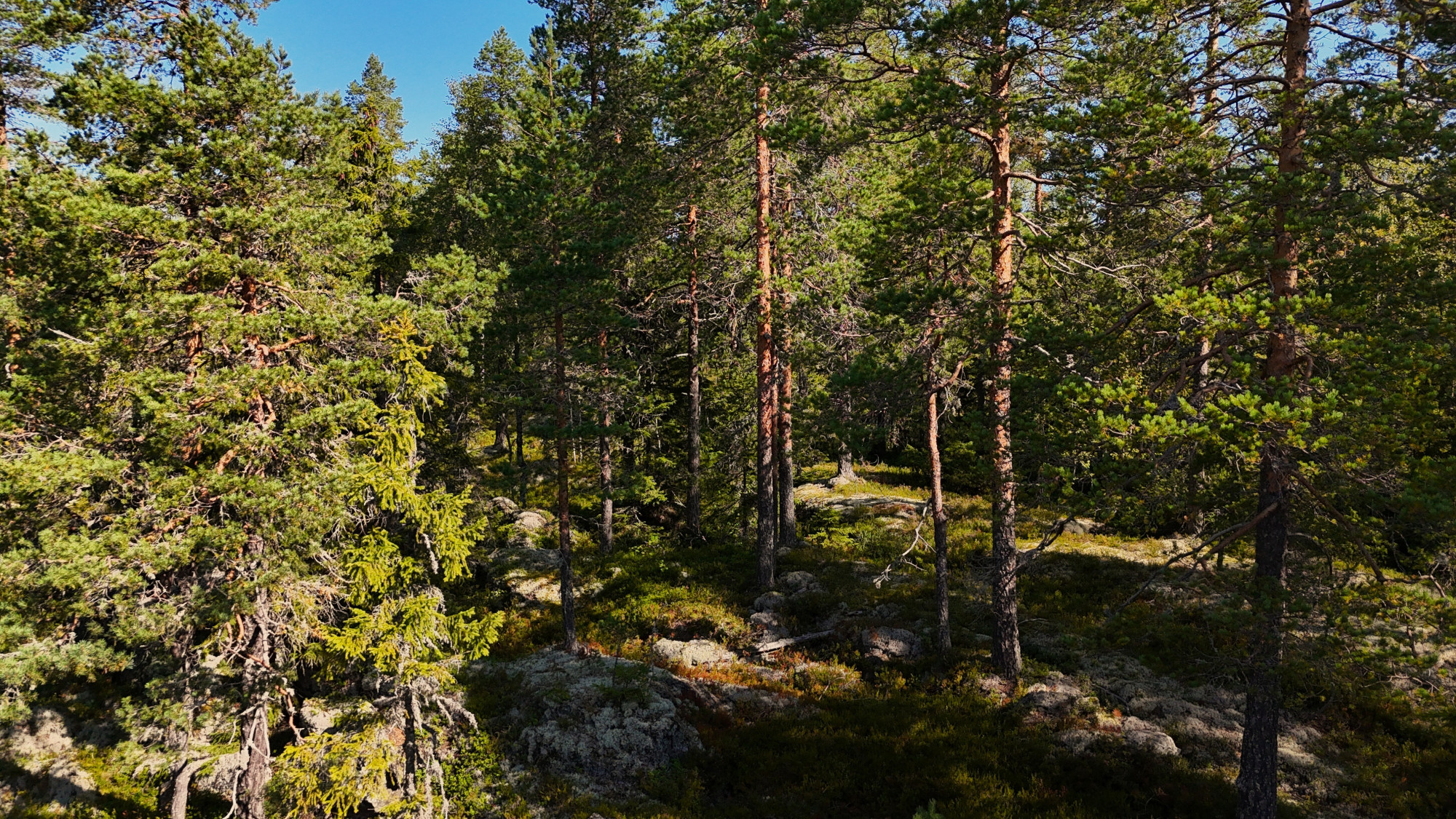 Sweden estate