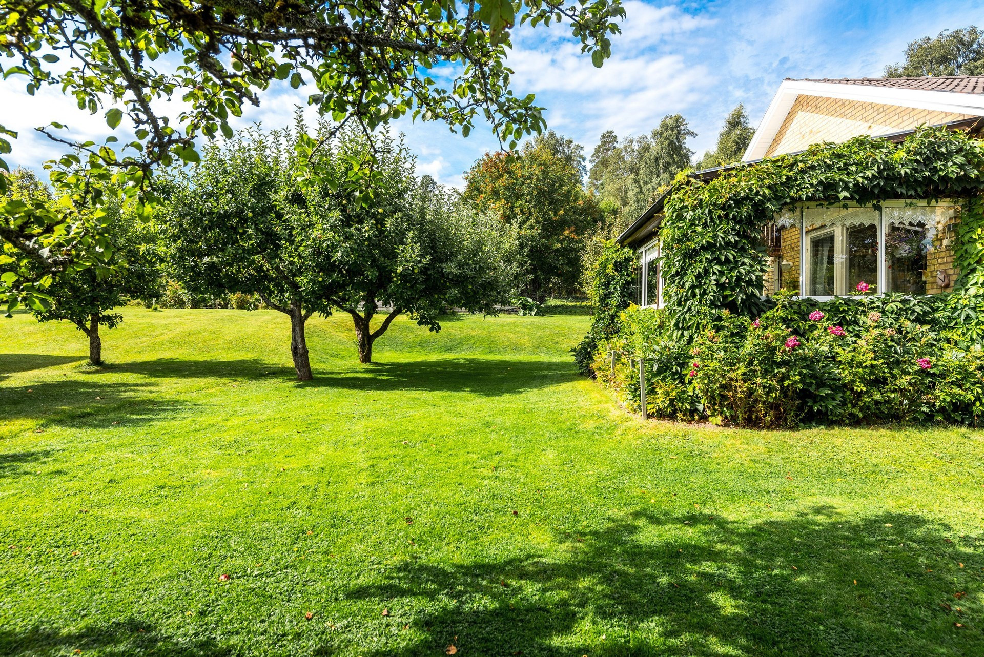 Sweden estate