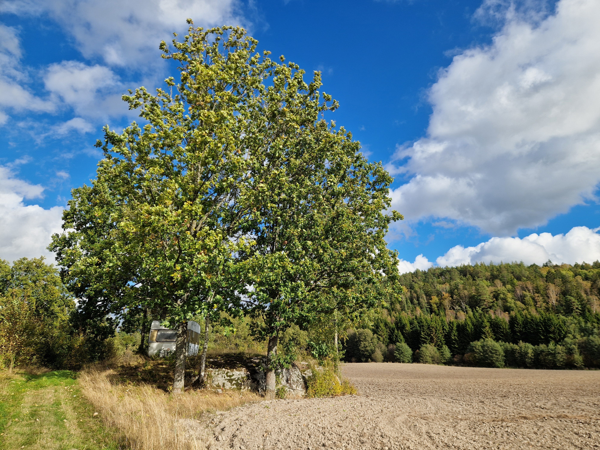 Sweden estate