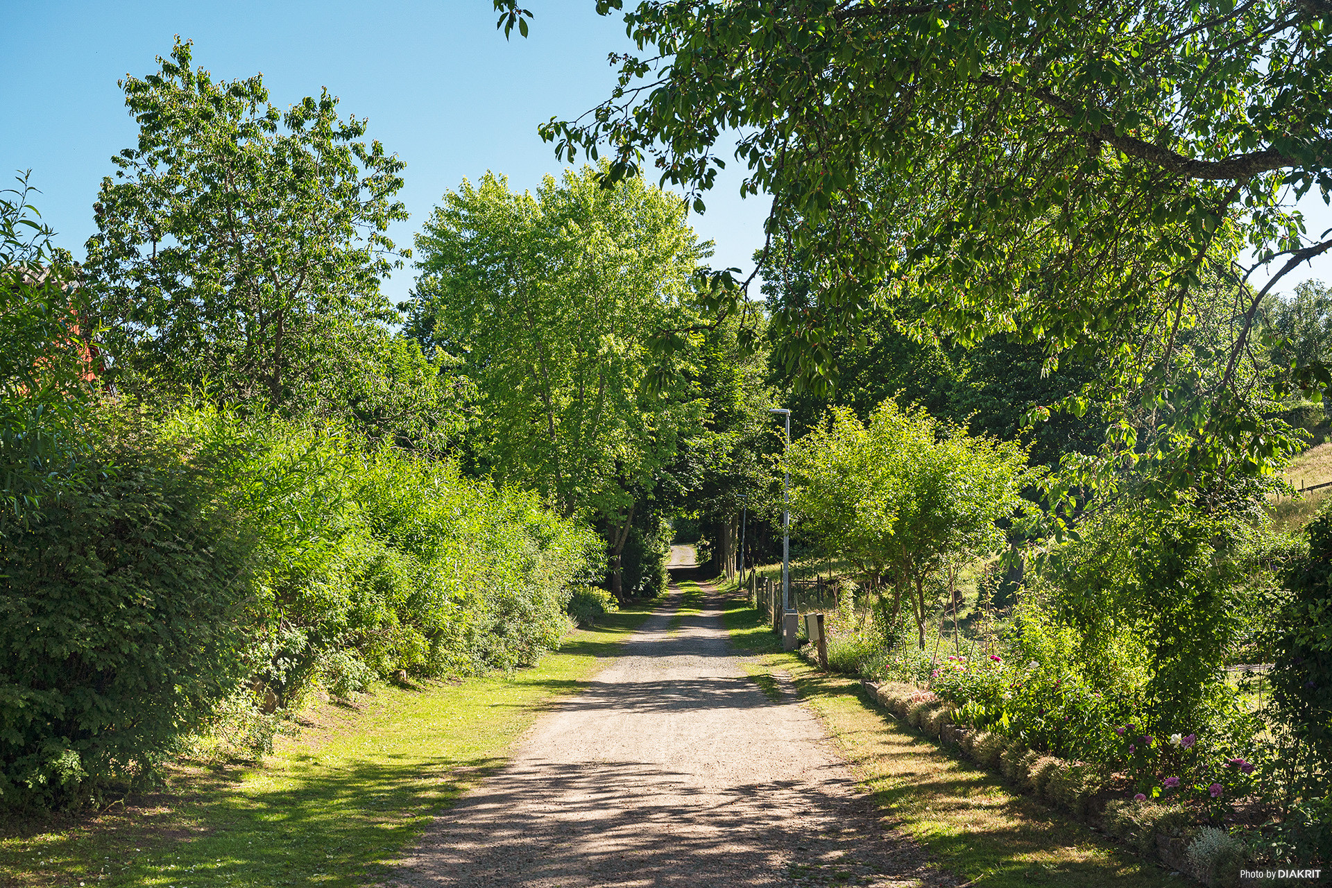 Sweden estate