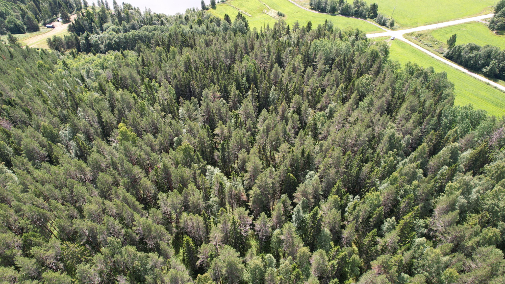 Sweden estate