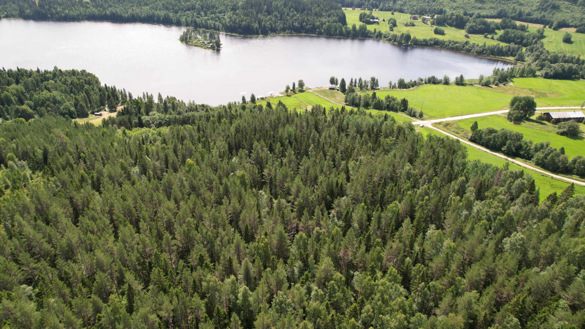 Sweden estate